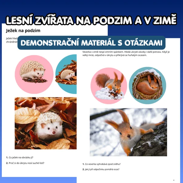 LESNÍ ZVÍŘATA NA PODZIM A V ZIMĚ – 18 demonstračních karet s otázkami