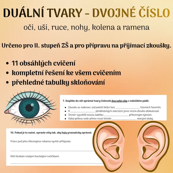Duální tvary: oči, uši, ruce, nohy, kolena a ramena
