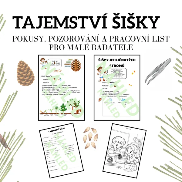 🌲TAJEMSTVÍ ŠIŠKY – pokusy, pozorování a pracovní list pro malé badatele