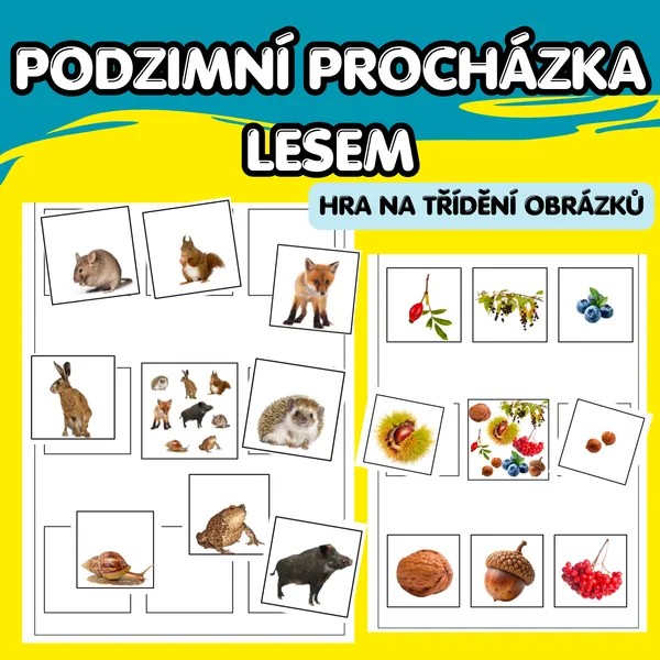 Podzimní procházka lesem - hra na třídění obrázků