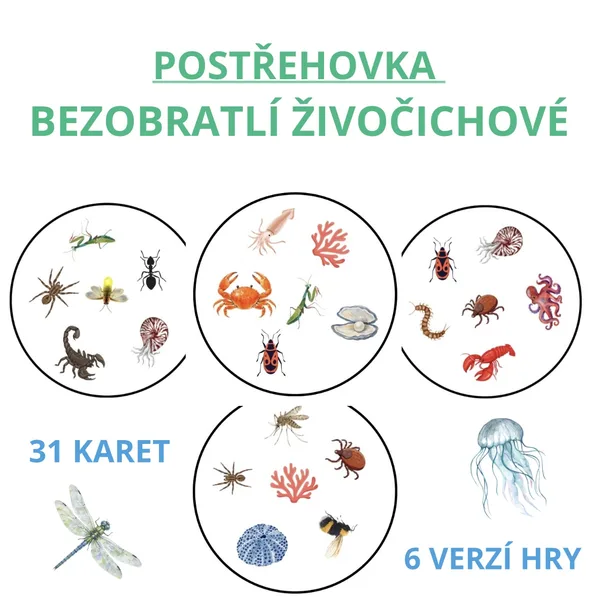 Postřehovka - bezobratlí živočichové 🐝