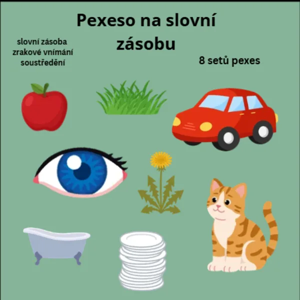 Pexeso na slovní zásobu