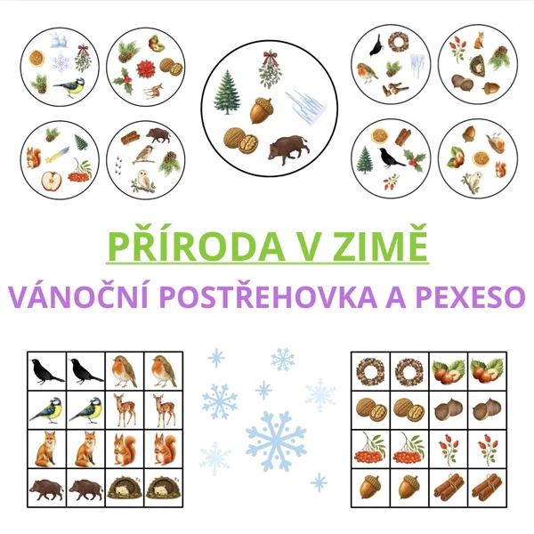 Příroda v zimě - Vánoční postřehovka a pexeso ❄️