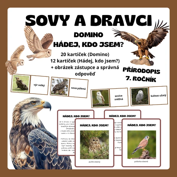 DOMINO a Hádej, kdo jsem - Sovy a dravci