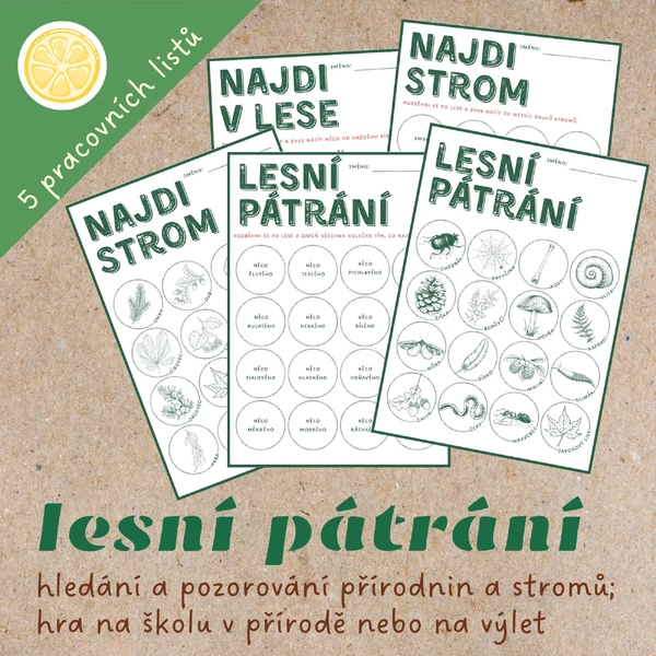 Lesní pátrání (nebo bingo) na školu v přírodě nebo na výlet