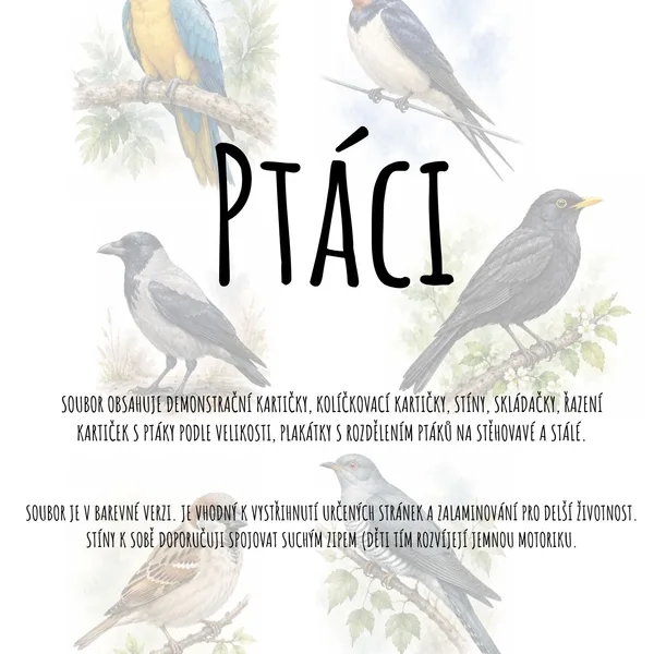Ptáci