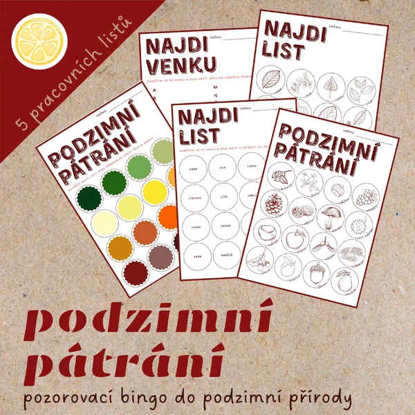 Podzimní pátrání | pozorovací bingo do přírody