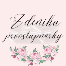 Z deníku prvostupňařky - profilový obrázek