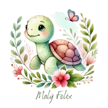 Malý Felix - profilový obrázek