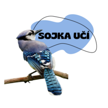 Tereza Sojková - profilový obrázek