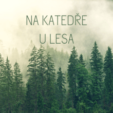 Na katedře u lesa - profilový obrázek