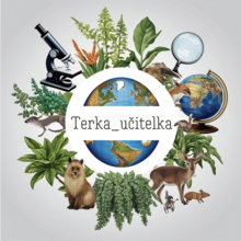 Učitelka Terka - profilový obrázek