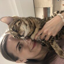 A T - profilový obrázek